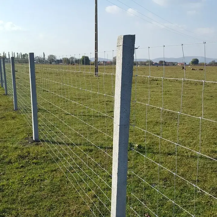 Csomózott vadháló vadkerítés betonoszlopokon, nyílt mezőgazdasági terület mellett